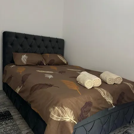 Apartment Milanovic *