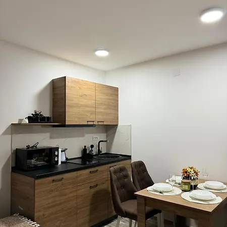 Apartment Milanovic Divcibare