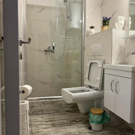 Apartment Milanovic